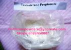 Testosterone Propionate